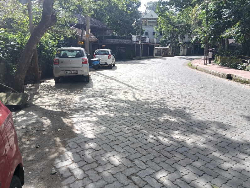  Commercial Land 10 Cent for Sale in Kumily, Idukki