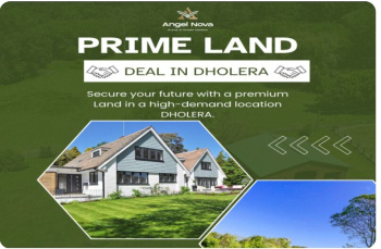  Commercial Land for Sale in Dholera, Ahmedabad