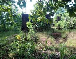  Agricultural Land for Sale in Vittal, Mangalore