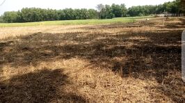  Commercial Land 30 Bigha for Sale in Gangarampur, Dakshin Dinajpur