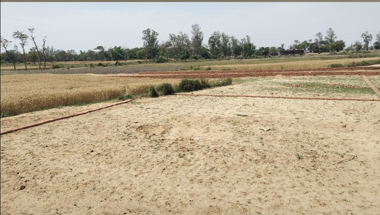  Residential Plot 1000 Sq.ft. for Sale in Sukrauli, Kushinagar