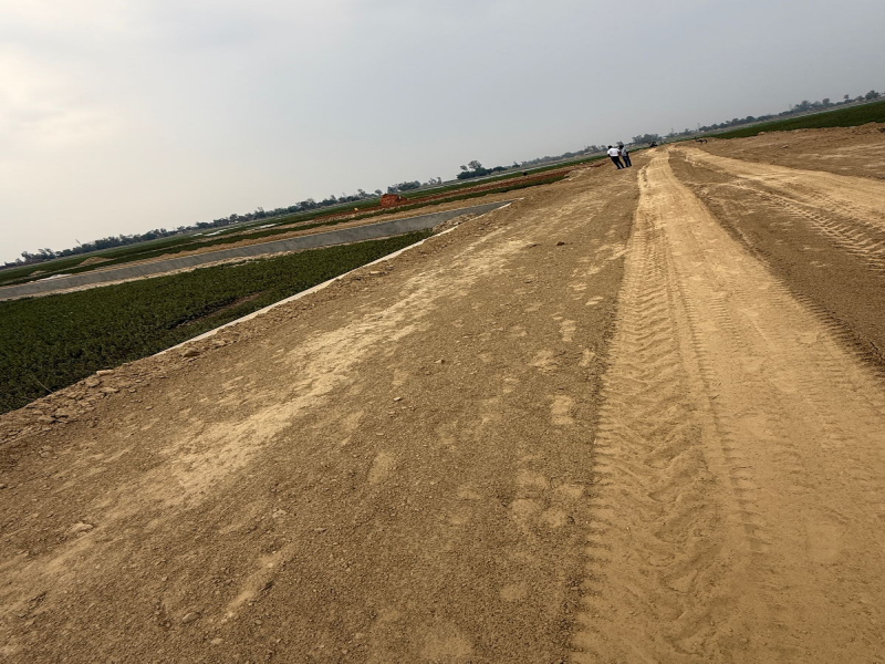  Residential Plot 1000 Sq.ft. for Sale in Kaudia Jungle, Gorakhpur