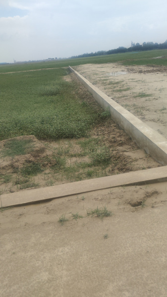  1000 Sq.ft. Residential Plot for Sale in Kauriya Jungle Village, Gorakhpur