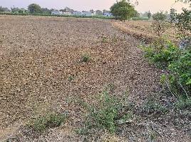  Agricultural Land for Sale in Doultabad, Medak