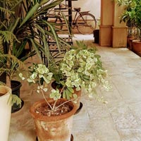 4 BHK House for Sale in Green Field, Faridabad