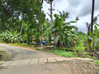  Residential Plot for Sale in Angamaly, Ernakulam