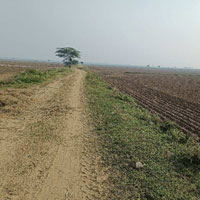  Agricultural Land for Sale in Nalhar, Nuh
