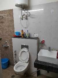 1 BHK Flat for Rent in Sector 143 Noida
