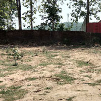  Residential Plot for Sale in Kuanwala, Dehradun
