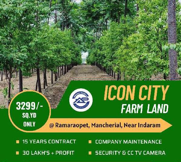  Agricultural Land 1683 Sq.ft. for Sale in Reddy Colony, Mancherial