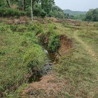  Agricultural Land for Sale in Dandeli, Uttara Kannada