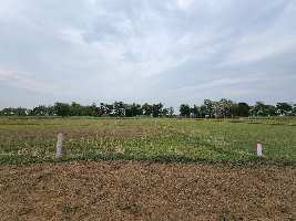  Agricultural Land for Sale in Naubatpur, Patna
