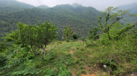  Residential Plot for Sale in Narendra Nagar, Rishikesh