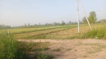  Agricultural Land for Sale in Phulera, Jaipur