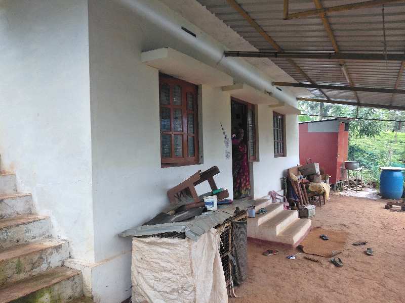 2 BHK House & Villa 580 Sq.ft. for Sale in Gudalur The Nilgiris