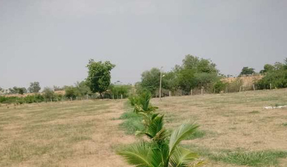 Agricultural Land 6 Acre for Sale in Bagepalli, ChikBallapur