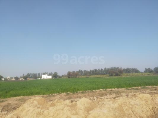  Agricultural Land 15 Acre for Sale in Kosli, Rewari