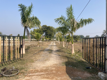  Residential Plot for Sale in New Indira Colony, Tikamgarh