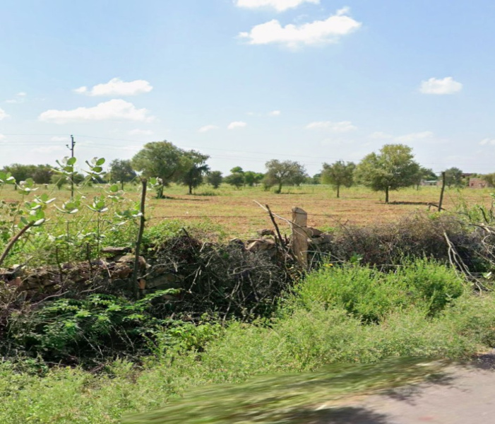  25 Bigha Residential Plot for Sale in Jhalamand, Jodhpur