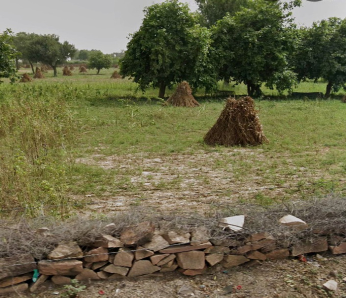  35 Bigha Residential Plot for Sale in Gangana Road, jodhpur
