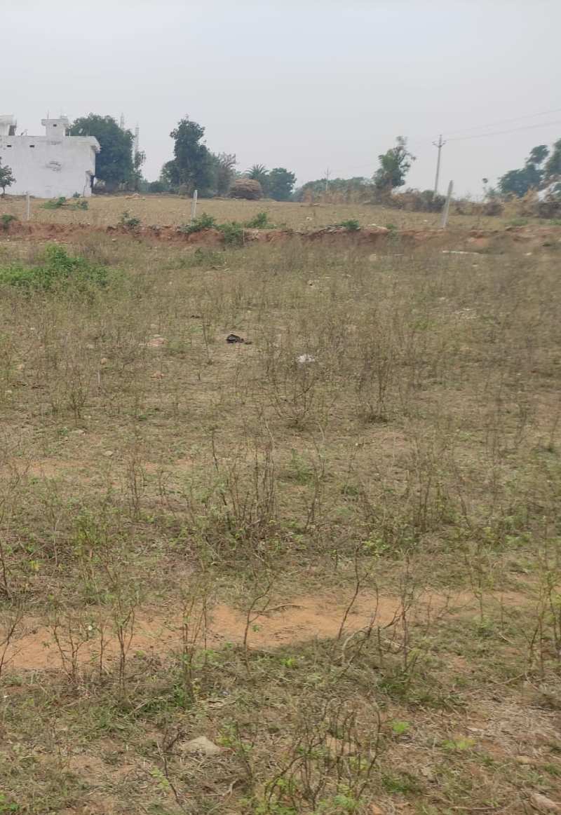  800 Sq.ft. Residential Plot for Sale in Nanpur, Alirajpur