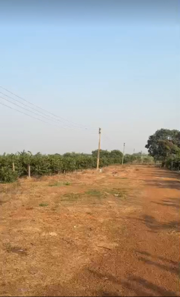  20000 Sq.ft. Residential Plot for Sale in Amleshwar, Durg