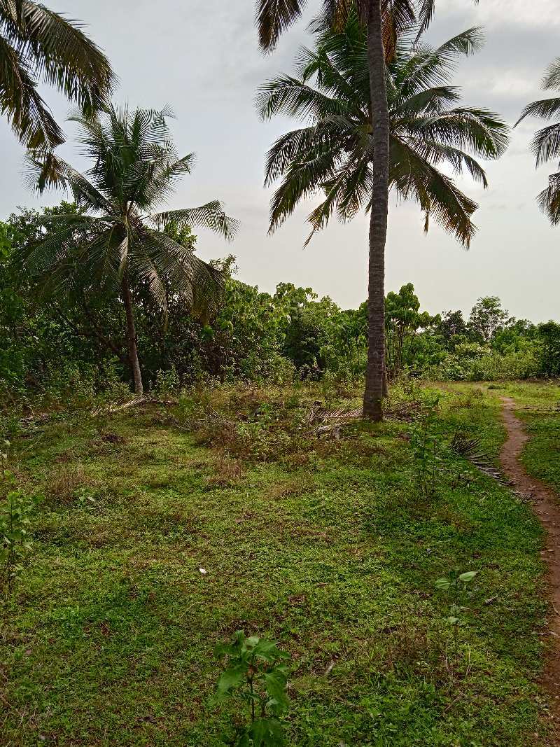 Agricultural Land 1 Acre for Sale in Hiriadka, Udupi