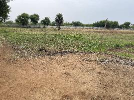  Agricultural Land for Rent in Nadergul, Hyderabad