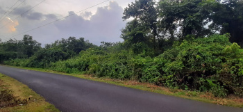  Commercial Land for Sale in North Goa