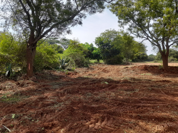  Agricultural Land for Sale in Nanjangud, Mysore