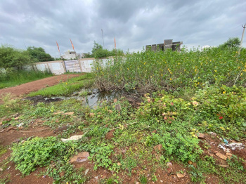  Commercial Land for Sale in Amleshwar, Raipur