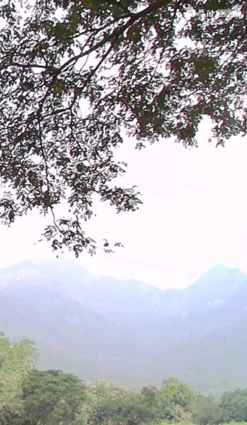  14 Acre Residential Plot for Sale in Mettupalayam Coimbatore