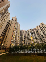 1 BHK Flat for Sale in Yamuna Expressway, Greater Noida