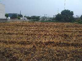  Agricultural Land for Rent in Madri, Udaipur