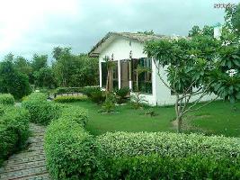  Agricultural Land for Sale in Sector 3 Noida