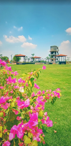 Residential Plot 200 Sq. Yards for Sale in Kadthal, Hyderabad