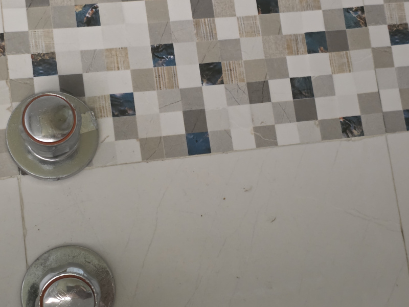 1 BHK 550 Sq.ft. Apartment for Sale in Devicha Pada, Dombivli, Thane