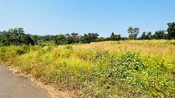  Agricultural Land for Sale in Karjat, Mumbai