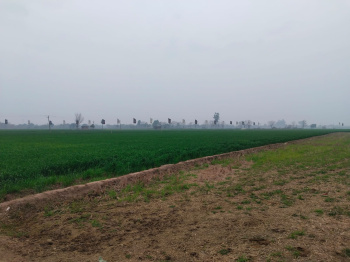  Residential Plot for Sale in Sector 21 Chandigarh