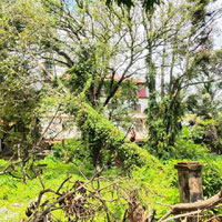  Residential Plot for Sale in Kumarakom, Kottayam