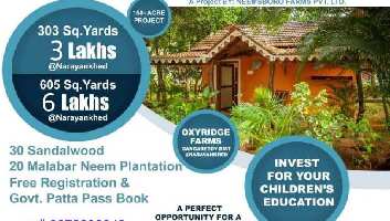  Agricultural Land for Rent in Narayankhed, Sangareddy