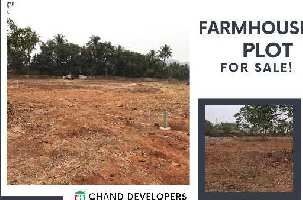 1 RK Farm House for Sale in Murud, Raigad