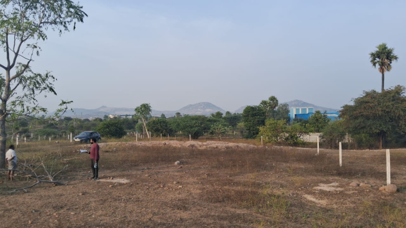  Residential Plot 267 Sq. Yards for Sale in Chotuppal, Hyderabad