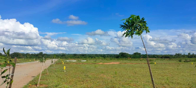  Residential Plot 165 Sq. Yards for Sale in Shadnagar, Hyderabad
