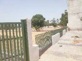 Residential Plot for Sale in Dadu Dayal Nagar, Jaipur