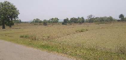  Agricultural Land for Sale in Lattikata, Sundargarh