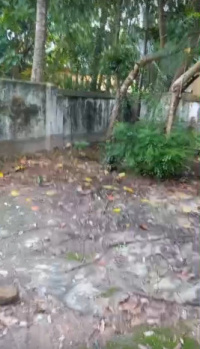 Residential Plot for Sale in Gopalnagar, North 24 Parganas