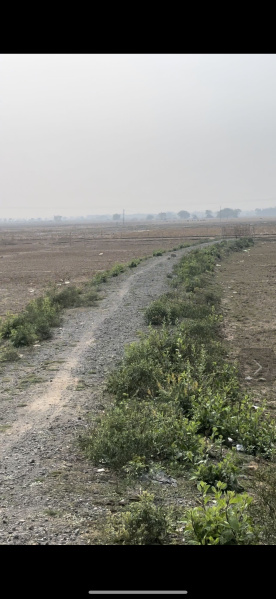  Agricultural Land 2 Acre for Sale in Korai, Jajpur