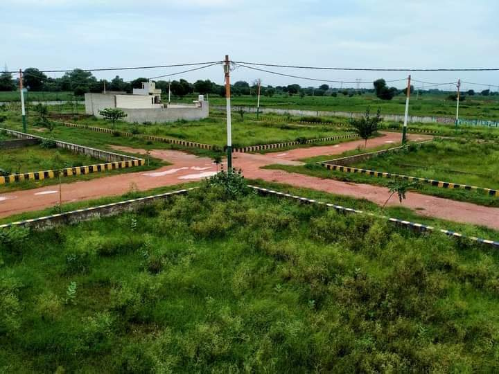 Agricultural Land 7 Bigha for Sale in Pali Road, Jodhpur