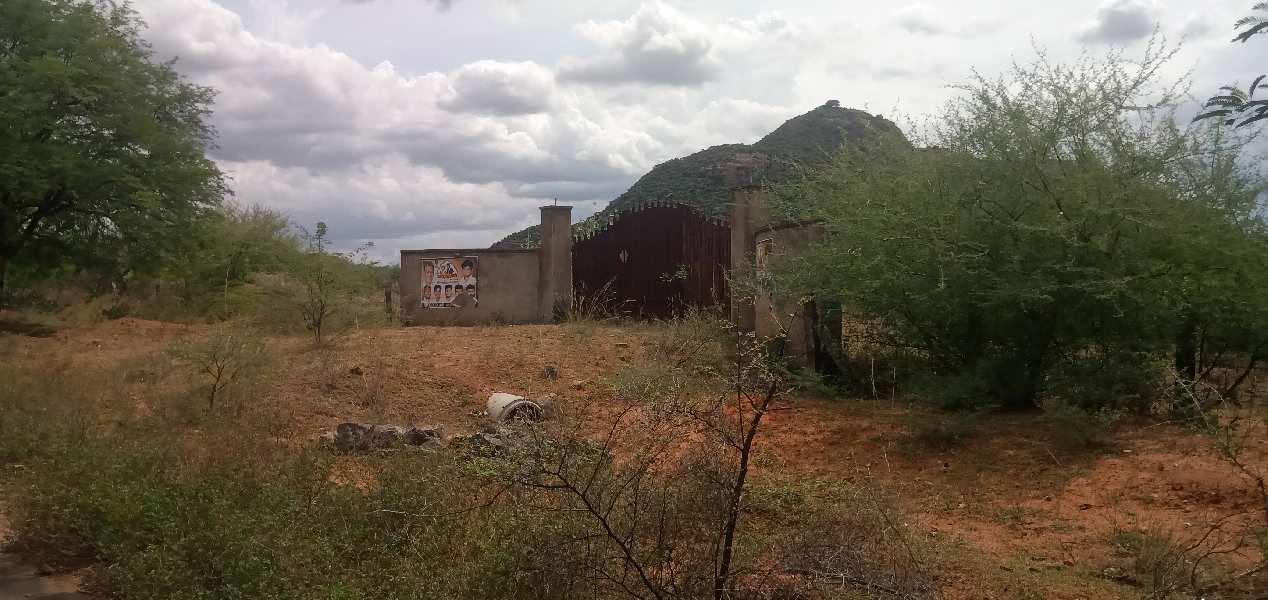 Farm Land for Sale in Andipatti Jakkampatti, Theni (REI1055986)